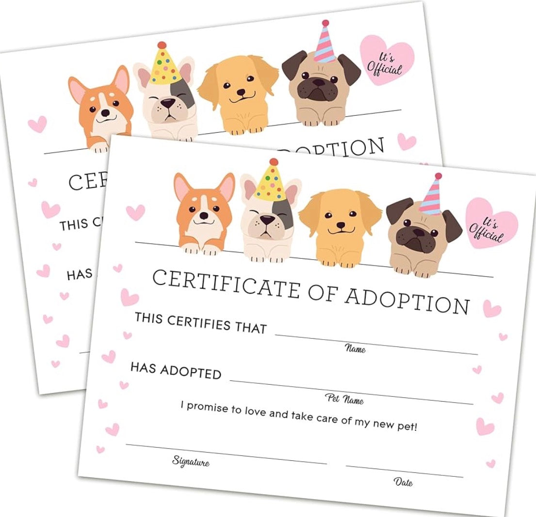 Adopta, Pinta y Ama - Paint Kit